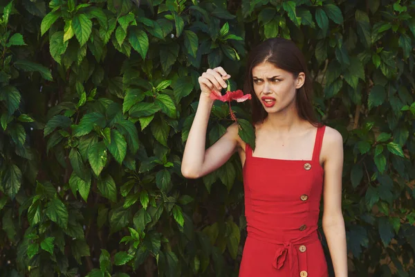 Jovem Mulher Bonita Mulher Zangada Com Flor — Fotografia de Stock