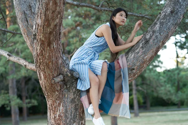 Νεαρή Γυναίκα Που Ποζάρει Στο Πάρκο Πάνω Στο Δέντρο — Φωτογραφία Αρχείου