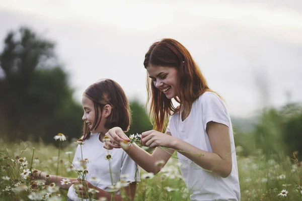 Young Mother Her Daughter Having Fun Camomile Field — Stock Photo, Image