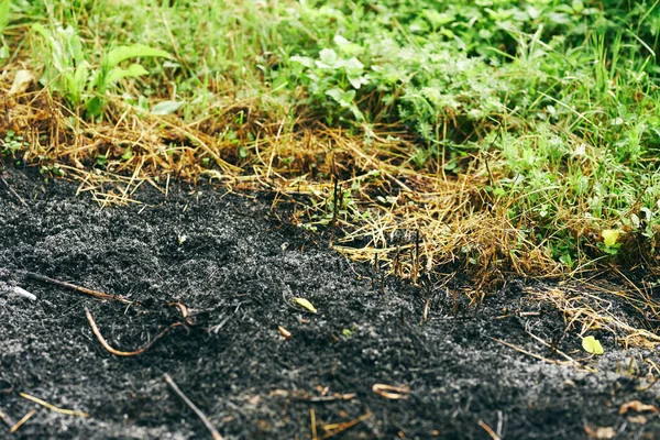 Bränt Gräs Bakgrund Eco — Stockfoto