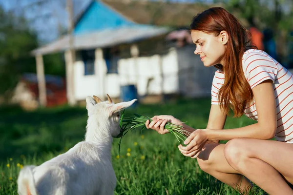 Mulher Com Pequeno Bode Bebê Bonito Fazenda — Fotografia de Stock