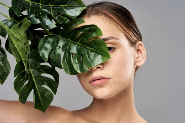 Jovem Modelo Bonito Posando Com Folhas Estúdio — Fotografia de Stock