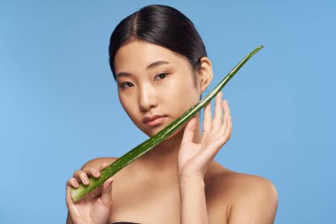 Genç güzel Asyalı kadın aloe vera yaprağıyla poz veriyor. 