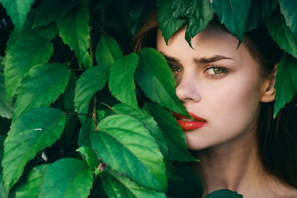 아름다운 나뭇잎으로 얼굴을 감쌌다 — 스톡 사진