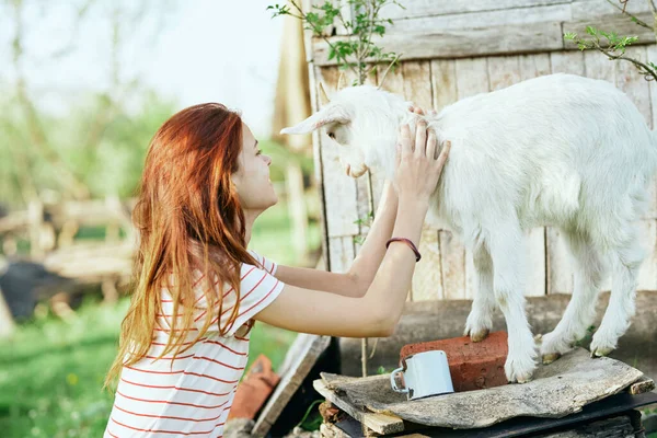 Mulher Com Pequeno Bode Bebê Bonito Fazenda — Fotografia de Stock