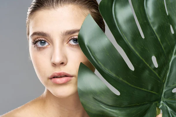 Jovem Modelo Bonito Posando Com Folha Estúdio — Fotografia de Stock