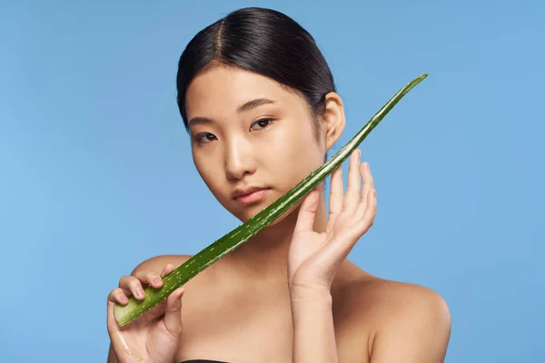 Joven Hermosa Mujer Asiática Posando Con Aloe Vera Hoja —  Fotos de Stock