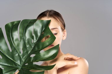 Stüdyoda yaprağıyla poz veren genç ve güzel bir kadın.