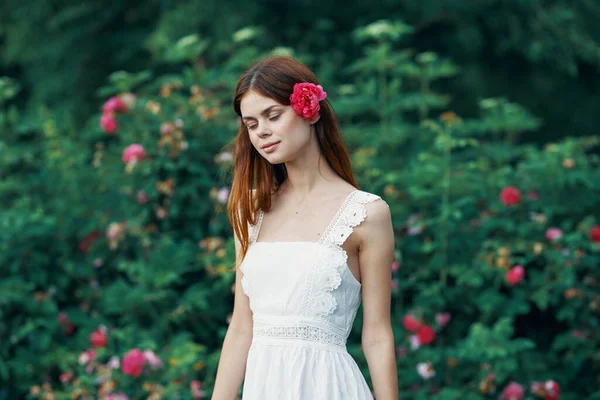 Fiatal Rózsavirággal Kertben — Stock Fotó