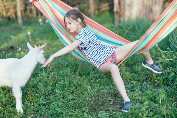 Menina Bonito Jogando Com Cabra Branca Gramado — Fotografia de Stock