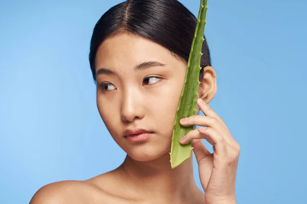 Joven Hermosa Mujer Asiática Posando Con Aloe Vera Hoja —  Fotos de Stock