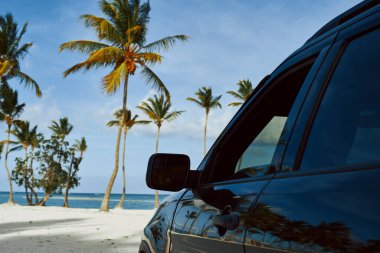         Güzel plajda palmiyeli bir araba.                         