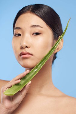 Genç güzel Asyalı kadın aloe vera yaprağıyla poz veriyor. 