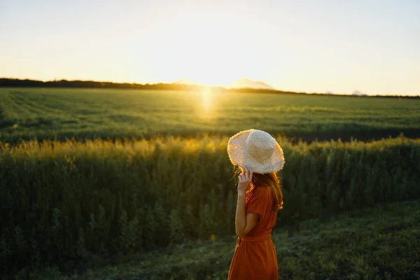 Jovem Posando Campo Trigo Pôr Sol — Fotografia de Stock