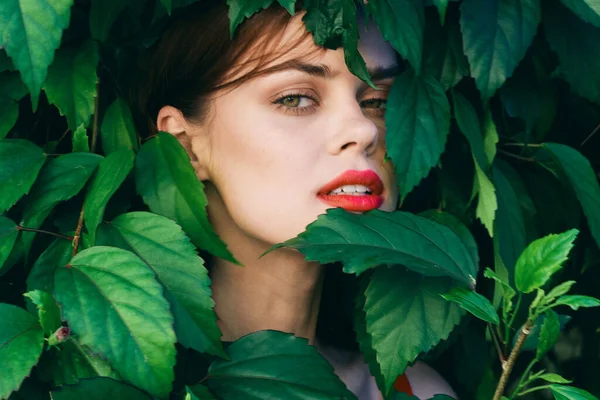 Ung Vacker Kvinna Poserar Med Löv Runt Ansiktet — Stockfoto