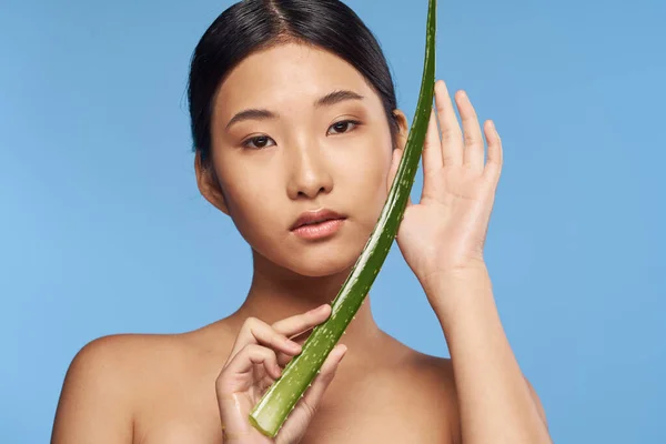 Joven Hermosa Mujer Asiática Posando Con Aloe Vera Hoja —  Fotos de Stock