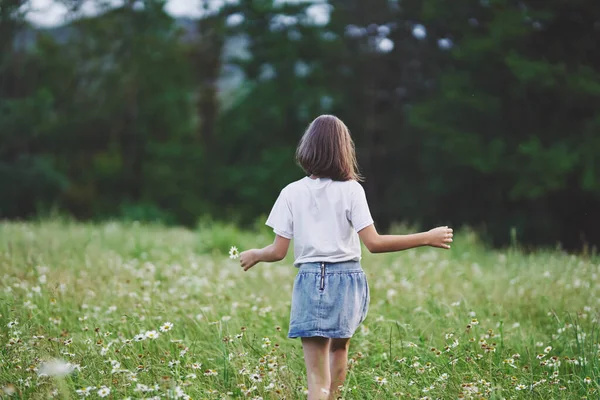 Giovane Ragazza Carina Divertirsi Sul Campo Camomilla — Foto Stock