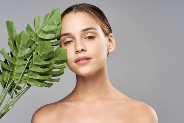 Jovem Modelo Bonito Posando Com Folhas Estúdio — Fotografia de Stock