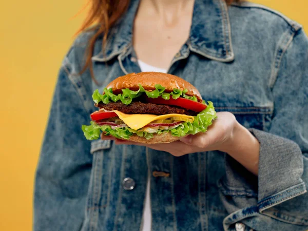 Hamburger calories fresh vegetables fried butt joint cheese — Stockfoto