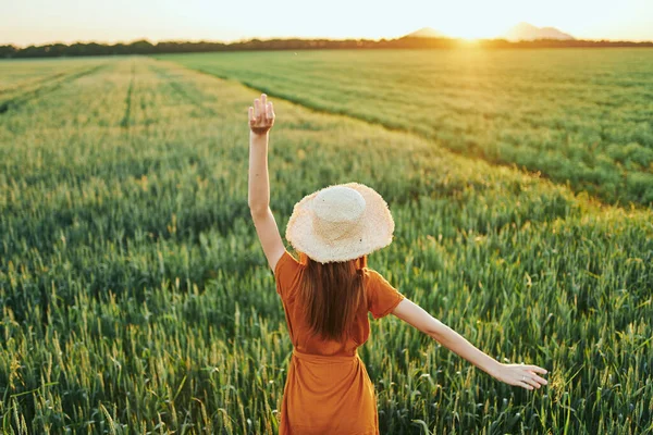 Jovem Mulher Bonita Campo Trigo Pôr Sol — Fotografia de Stock