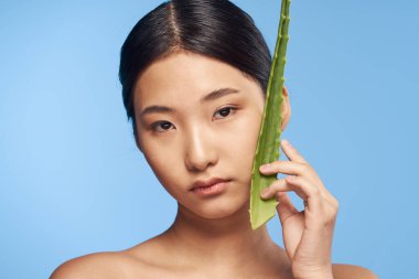 Genç güzel Asyalı kadın aloe vera yaprağıyla poz veriyor.  