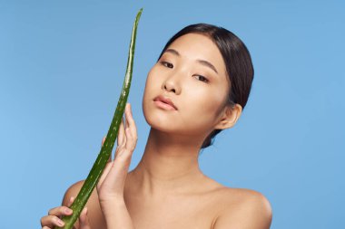 Genç güzel Asyalı kadın aloe vera yaprağıyla poz veriyor.  