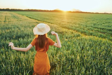 Gün batımında buğday tarlasında güzel bir kadın  