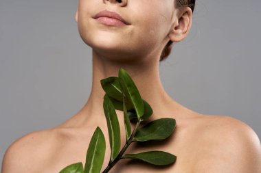 Stüdyoda gri arka planda yaprağı olan genç bir kadın.