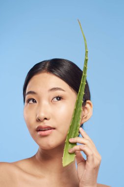 Genç güzel Asyalı kadın aloe vera yaprağıyla poz veriyor.  