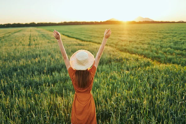 Jovem Mulher Bonita Campo Trigo Pôr Sol — Fotografia de Stock