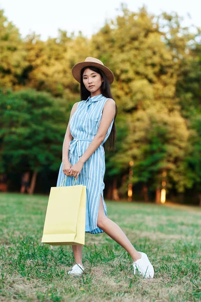 Ung Vacker Kvinna Med Shopping Väska — Stockfoto