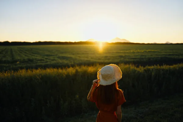 Jovem Mulher Bonita Campo Trigo Pôr Sol — Fotografia de Stock