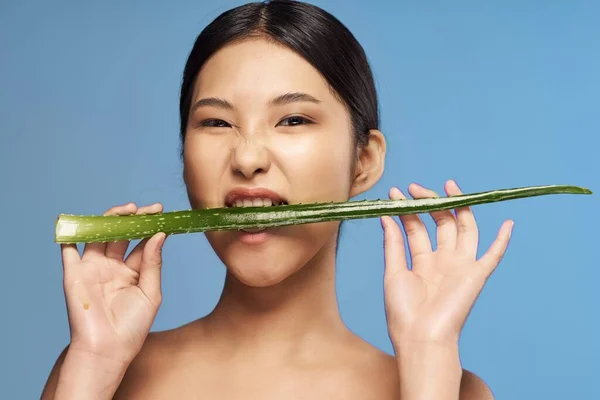 Joven Hermosa Mujer Asiática Posando Con Aloe Vera Hoja —  Fotos de Stock