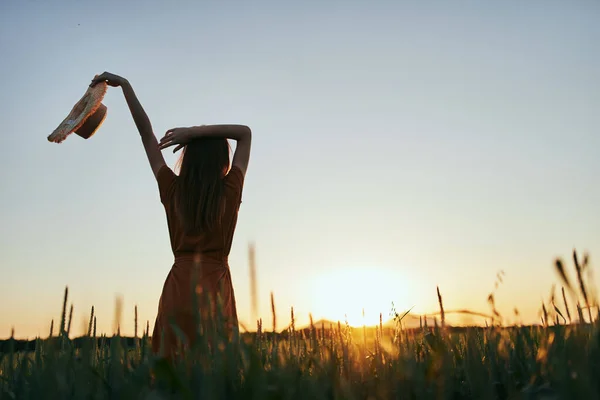 Jovem Mulher Bonita Campo Trigo Pôr Sol — Fotografia de Stock