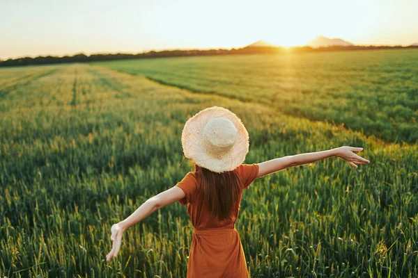 Jovem Mulher Bonita Campo Trigo Pôr Sol — Fotografia de Stock