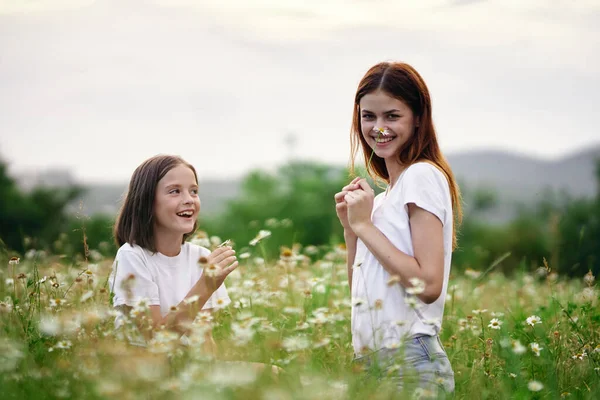 Jovem Mãe Sua Filha Divertindo Campo Camomila — Fotografia de Stock