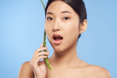 Genç güzel Asyalı kadın aloe vera yaprağıyla poz veriyor.  