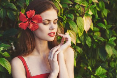 Bahçesinde kırmızı çiçekli güzel bir kadın.                          