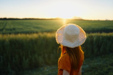 Gün batımında buğday tarlasında güzel bir kadın  