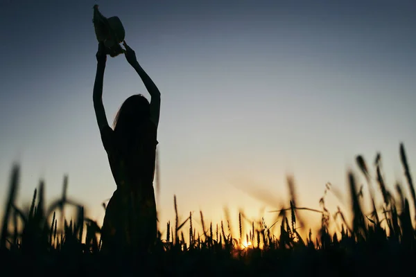 Jovem Mulher Bonita Campo Trigo Pôr Sol — Fotografia de Stock