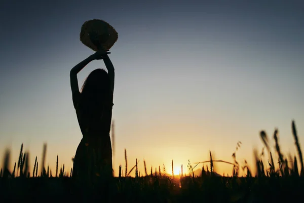 Jovem Mulher Bonita Campo Trigo Pôr Sol — Fotografia de Stock