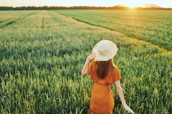 Jovem Mulher Bonita Campo Trigo Pôr Sol — Fotografia de Stock