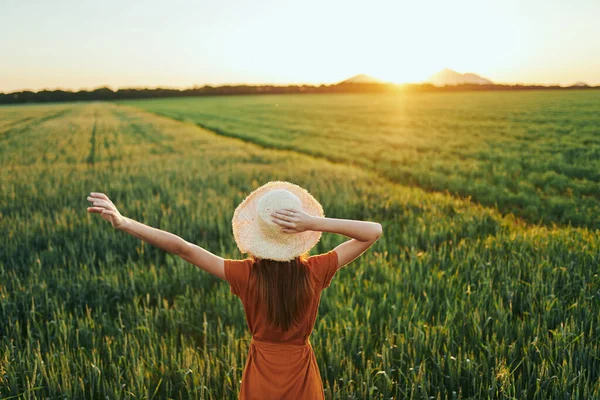 Jovem Mulher Bonita Campo Trigo Pôr Sol — Fotografia de Stock