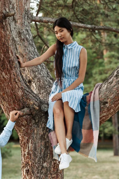 Молодая Женщина Позирует Парке Дереве — стоковое фото