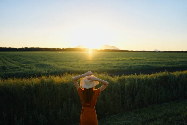 Jovem Mulher Bonita Campo Trigo Pôr Sol — Fotografia de Stock