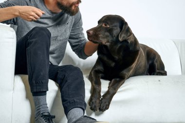 Beyaz bir kanepede siyah köpeği olan bir adam. Arka planda, yakın planda kesilen evcil hayvan insan arkadaş duyguları. Eğlenceli.