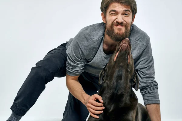 Hombre con perro entrenamiento gris anillo haciendo ejercicios mascotas fondo claro. — Foto de Stock