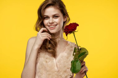 Sarı arka planda kırmızı gülü olan hoş bir kız duygu modelini kırpmış.