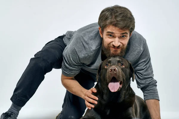 Hombre con perro entrenamiento gris anillo haciendo ejercicios mascotas fondo claro. — Foto de Stock