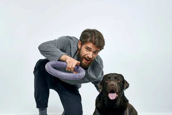 Man with dog training gray ring doing exercises pets light background.